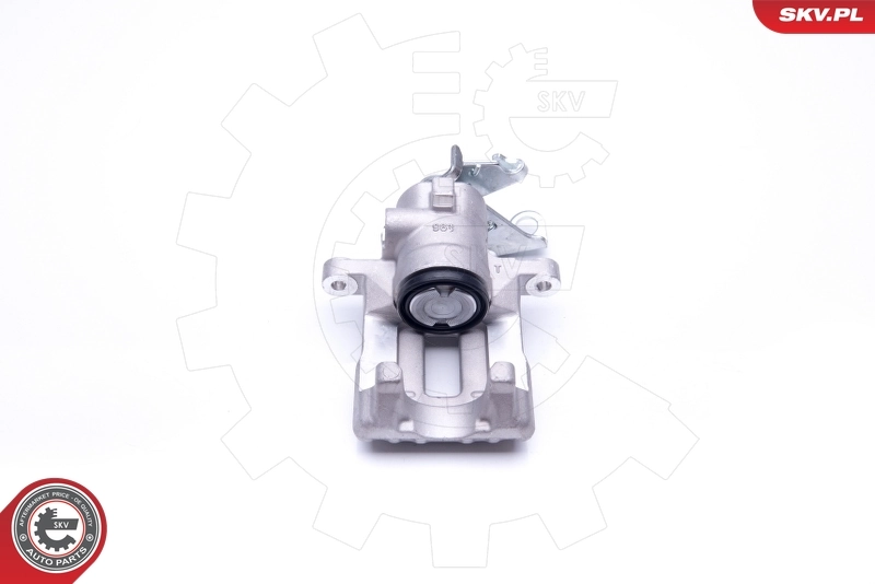 Brake Caliper 45SKV113