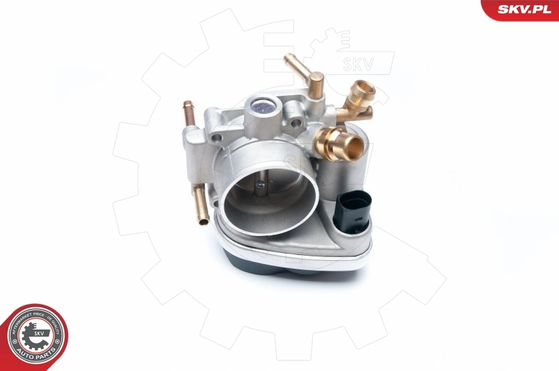 Throttle Body 12SKV049