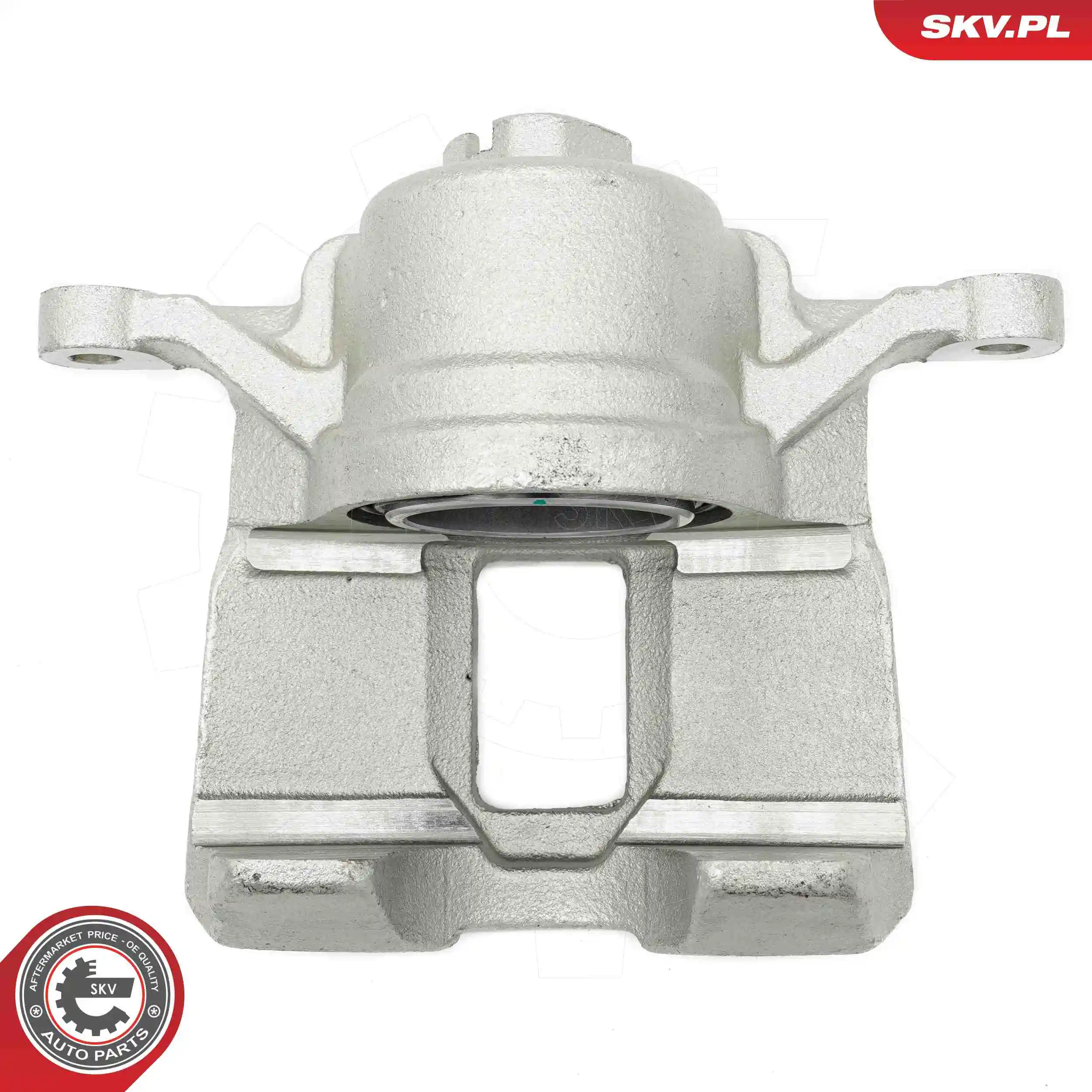 Brake Caliper 56SKV521
