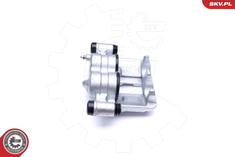 Brake Caliper 42SKV872