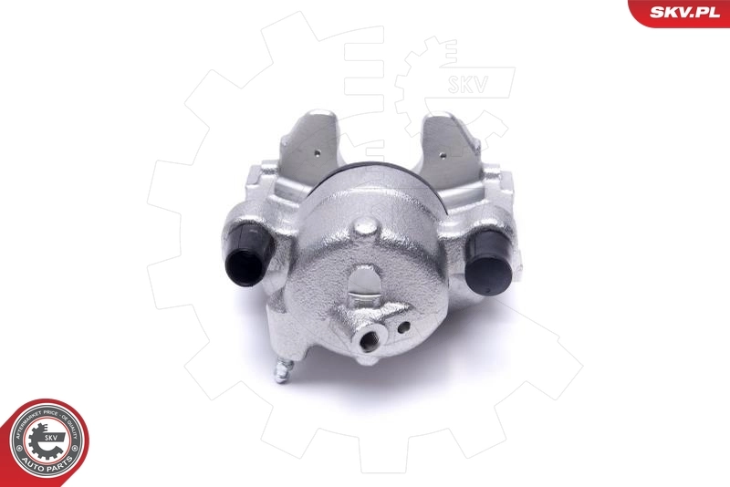 Brake Caliper 56SKV072