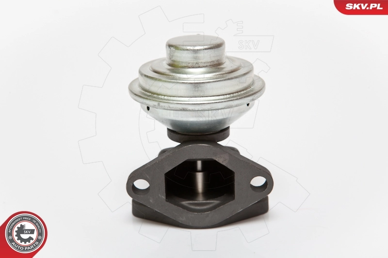 EGR Valve 14SKV052