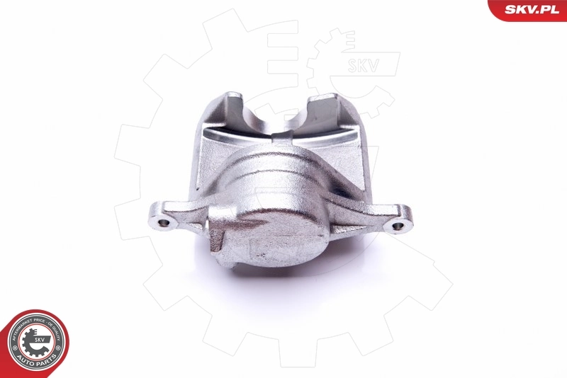 Brake Caliper 45SKV701