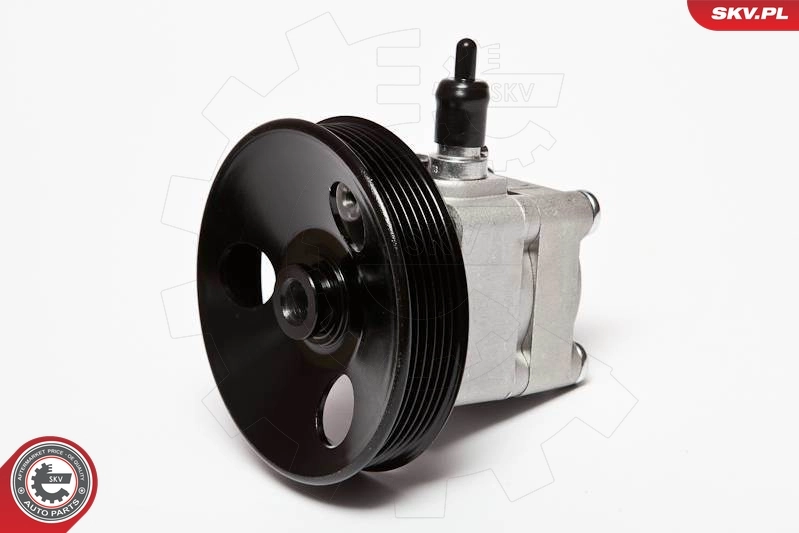 Hydraulic Pump, steering 10SKV010