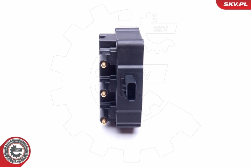 Ignition Coil 03SKV248