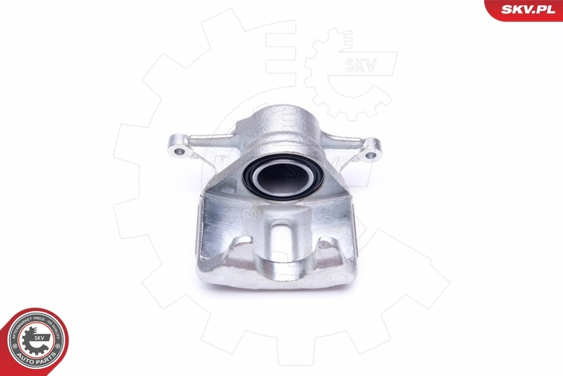 Brake Caliper 42SKV701