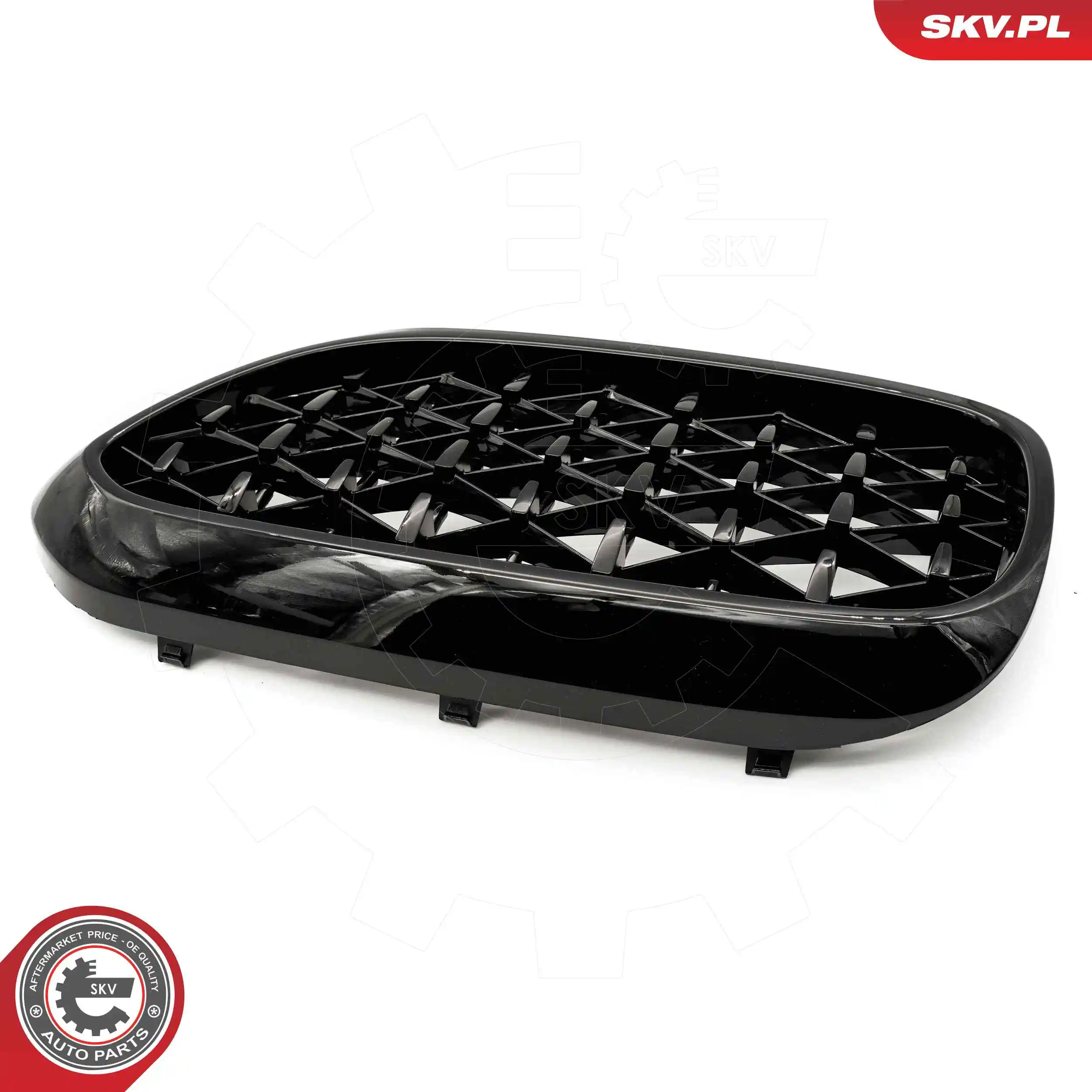ESEN SKV 66SKV200 Radiator Grille