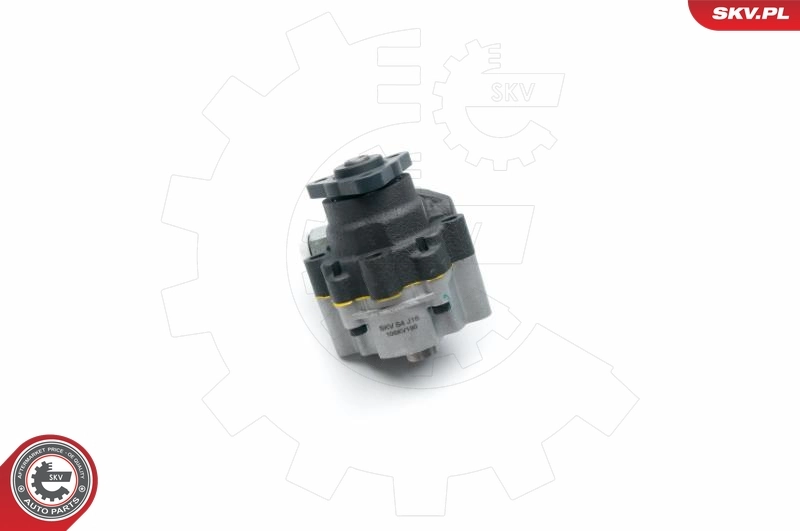 Hydraulic Pump, steering 10SKV190