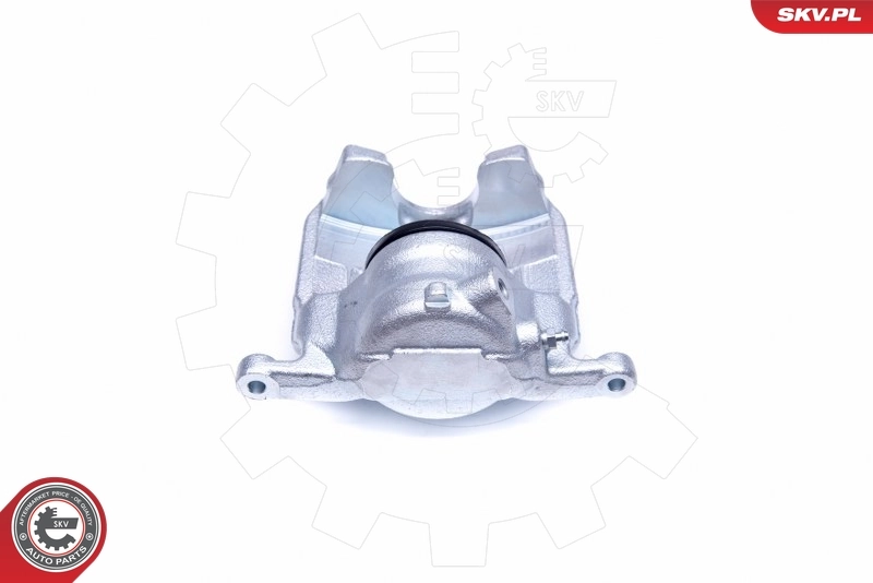 Brake Caliper 44SKV291
