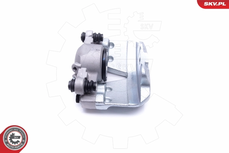 Brake Caliper 46SKV252