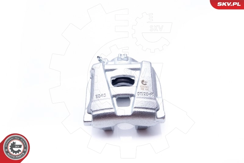 Brake Caliper 42SKV052