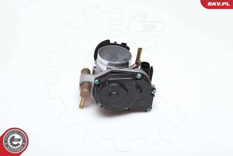 Throttle Body 12SKV003