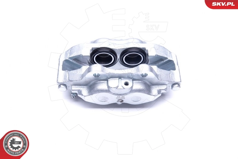 Brake Caliper 45SKV231