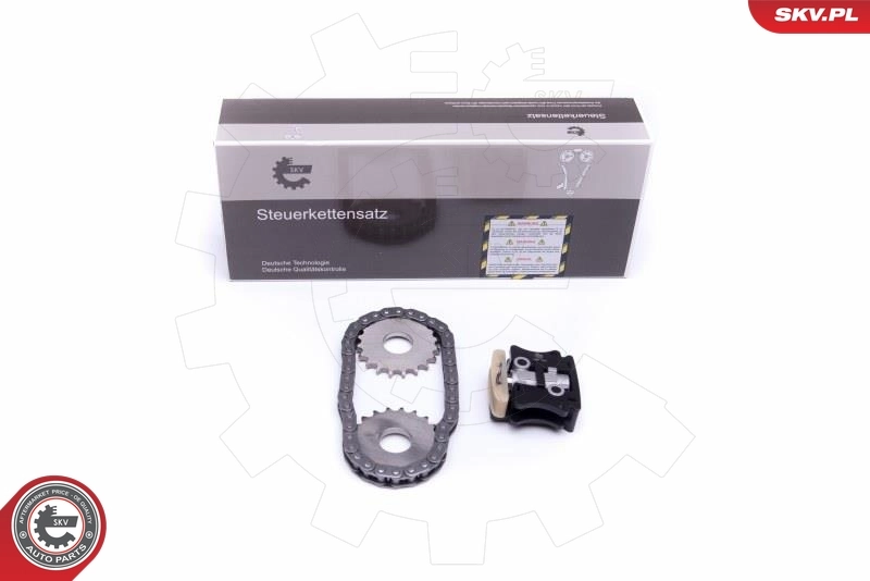 Timing Chain Kit 21SKV145