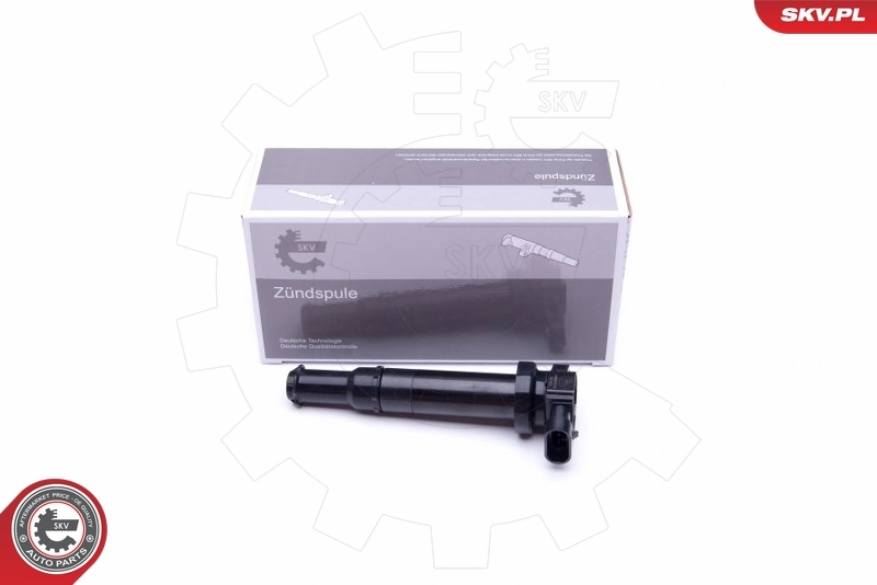 Ignition Coil 03SKV314