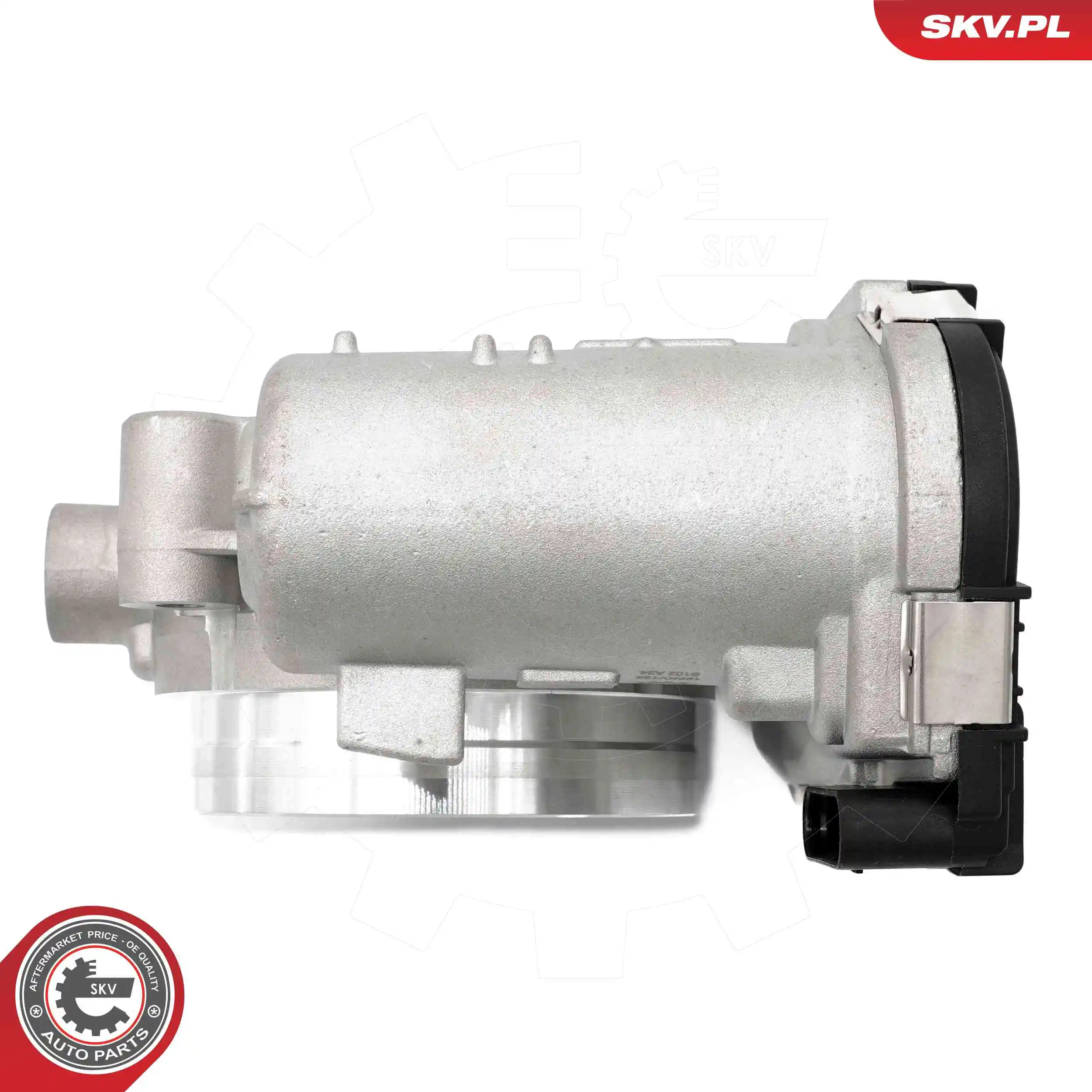 Throttle Body 12SKV129