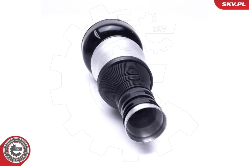 Air Suspension Strut 58SKV071