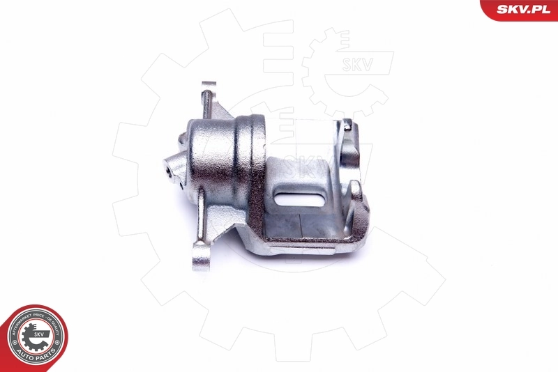 Brake Caliper 42SKV702