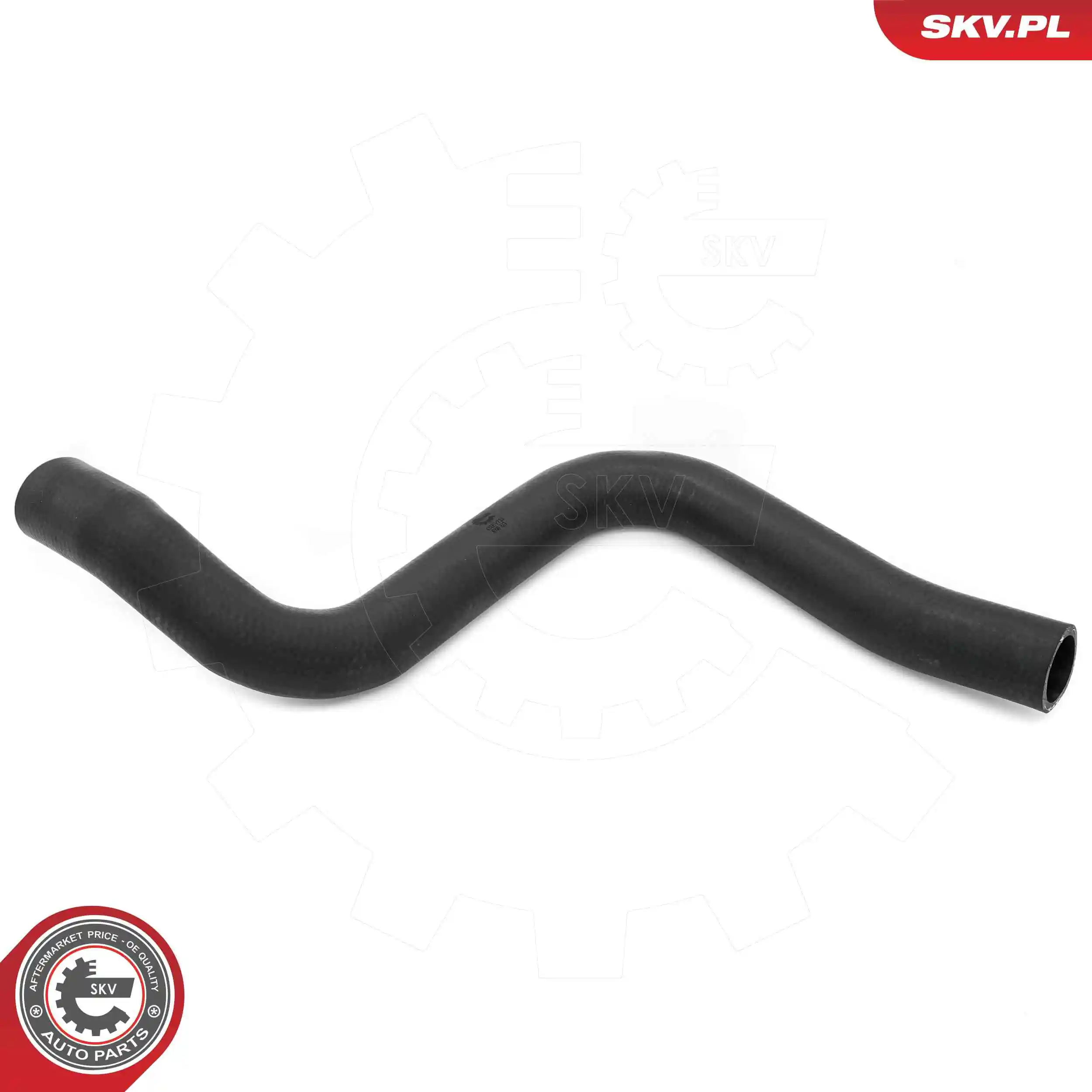 Radiator Hose 43SKV733