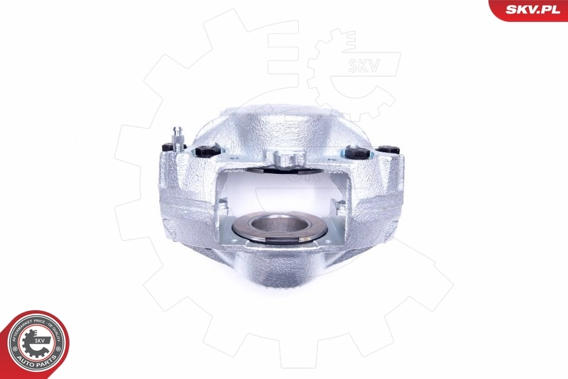 Brake Caliper 45SKV241