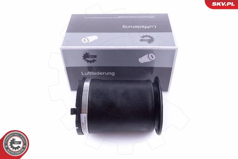 Air Spring, suspension 58SKV024