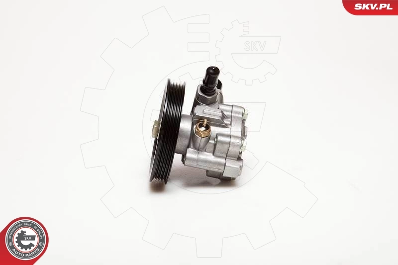 ESEN SKV 10SKV059 Hydraulic Pump, steering
