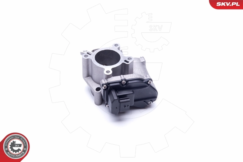 EGR Valve 14SKV184