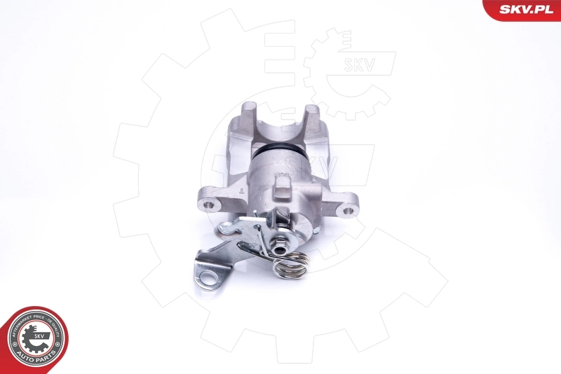 Brake Caliper 45SKV113