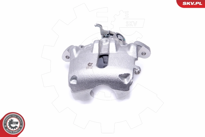 Brake Caliper 42SKV912