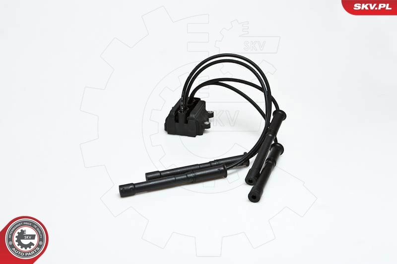 ESEN SKV 03SKV088 Ignition Coil