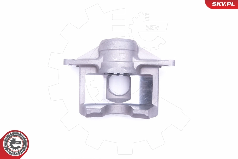 Brake Caliper 50SKV392