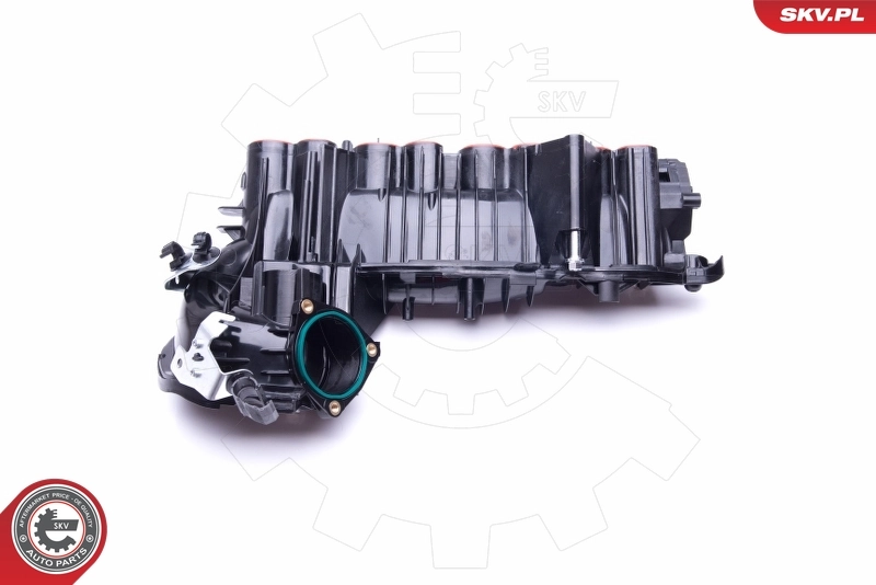 Intake Manifold Module 49SKV020