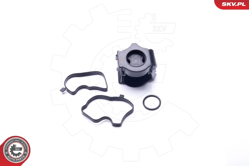 Oil Separator, crankcase ventilation 31SKV072