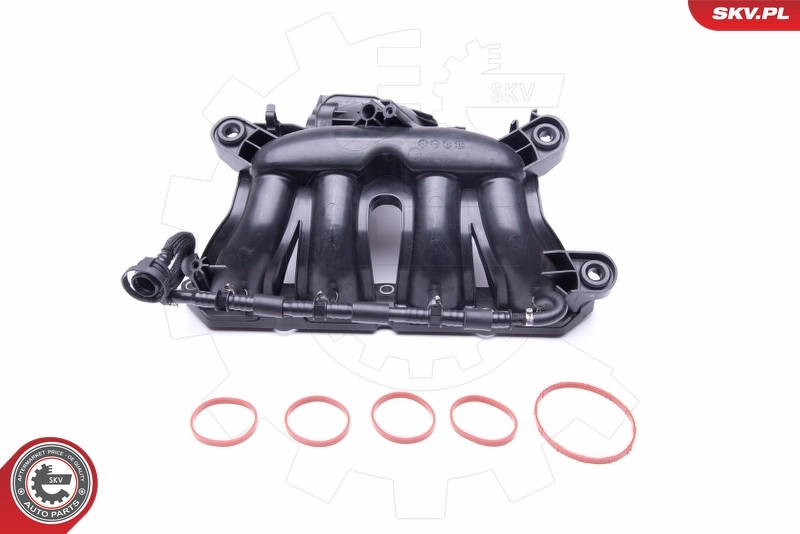 Intake Manifold Module 49SKV045