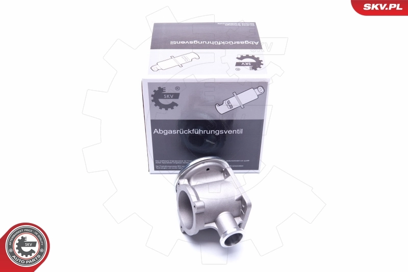 EGR Valve 14SKV177