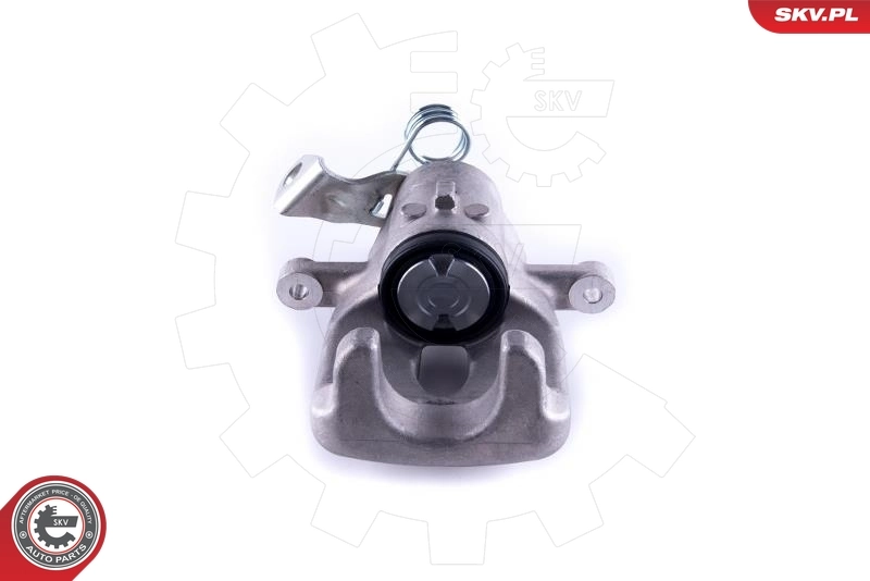 Brake Caliper 55SKV194