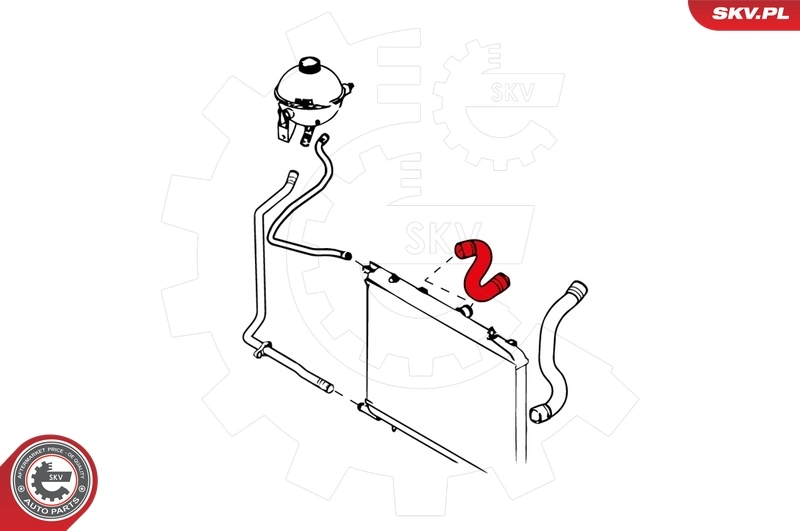 Radiator Hose 24SKV234