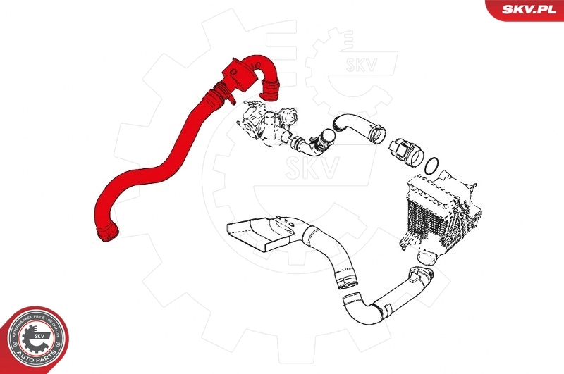 Charge Air Hose 24SKV659