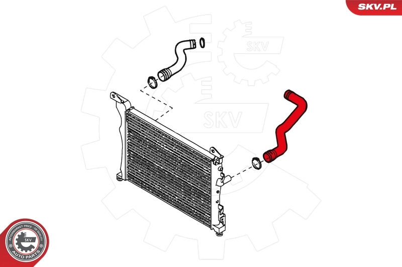 Radiator Hose 24SKV228