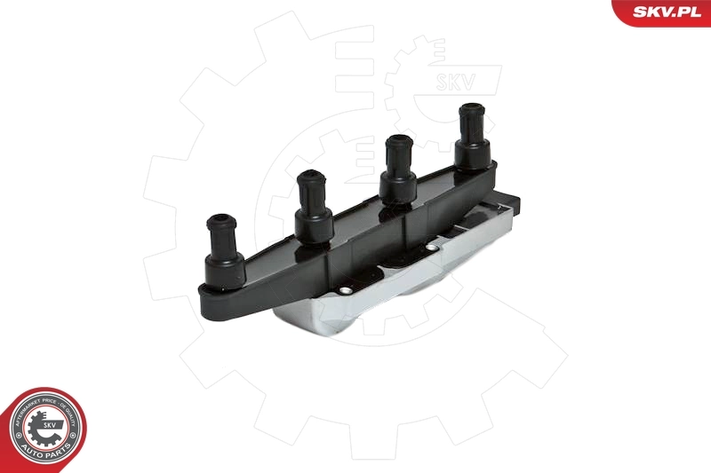 Ignition Coil 03SKV029