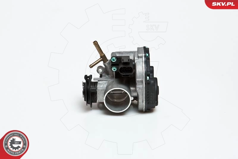Throttle Body 12SKV033