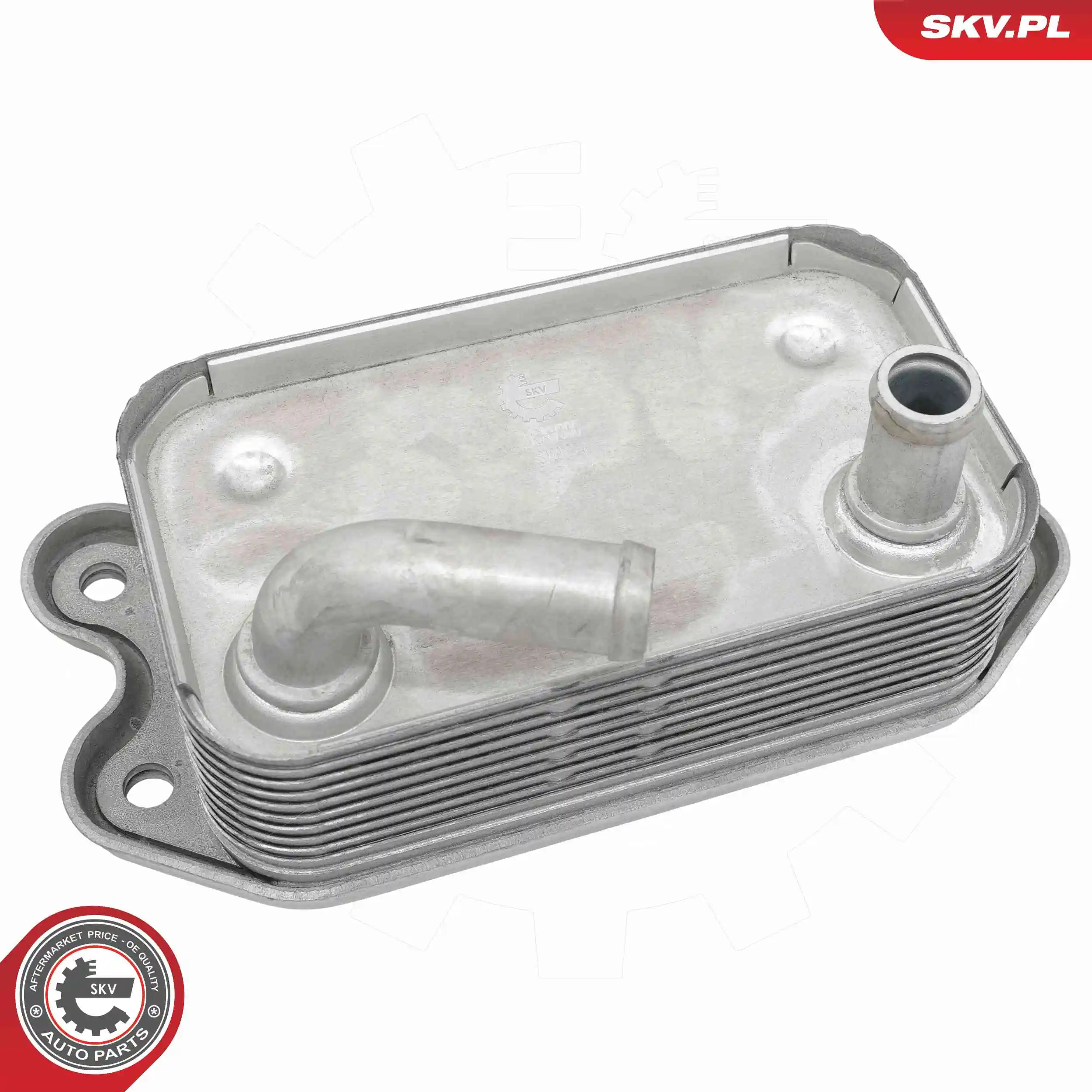 Oil Cooler, engine oil 31SKV300