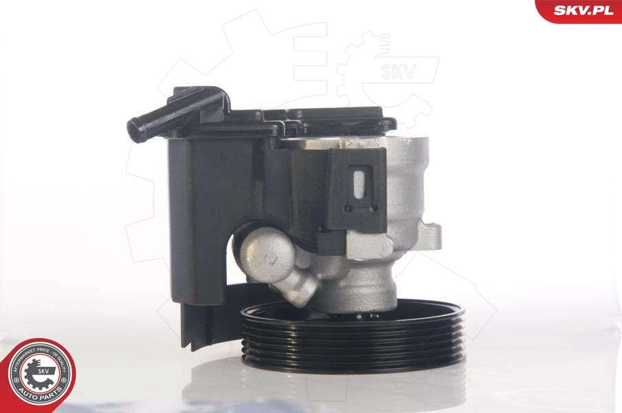 Hydraulic Pump, steering 10SKV171