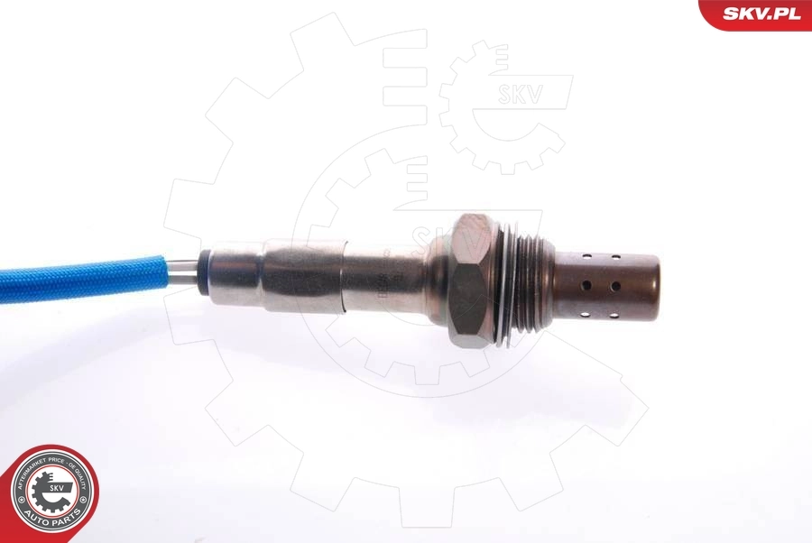 Oxygen Sensor 09SKV022