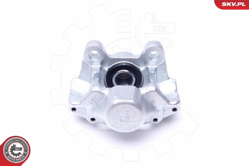 Brake Caliper 34SKV973