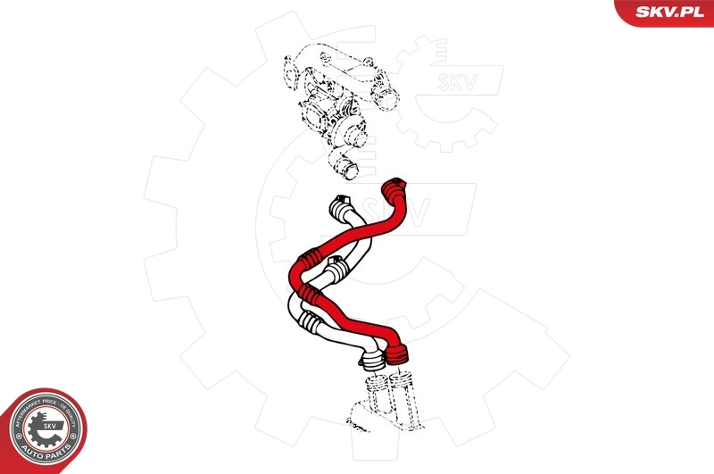 Charge Air Hose 43SKV060