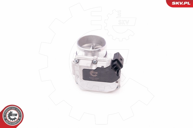 Throttle Body 12SKV057