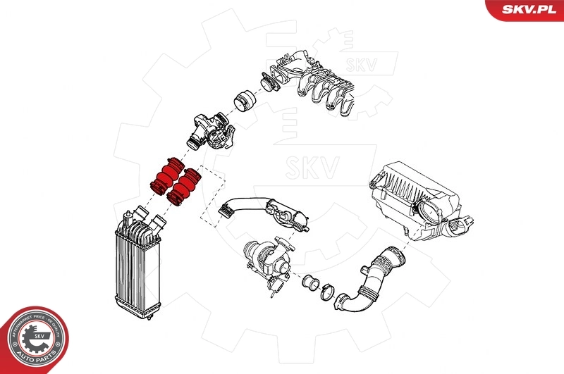 Charge Air Hose 24SKV789