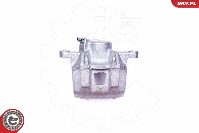 Brake Caliper 42SKV793