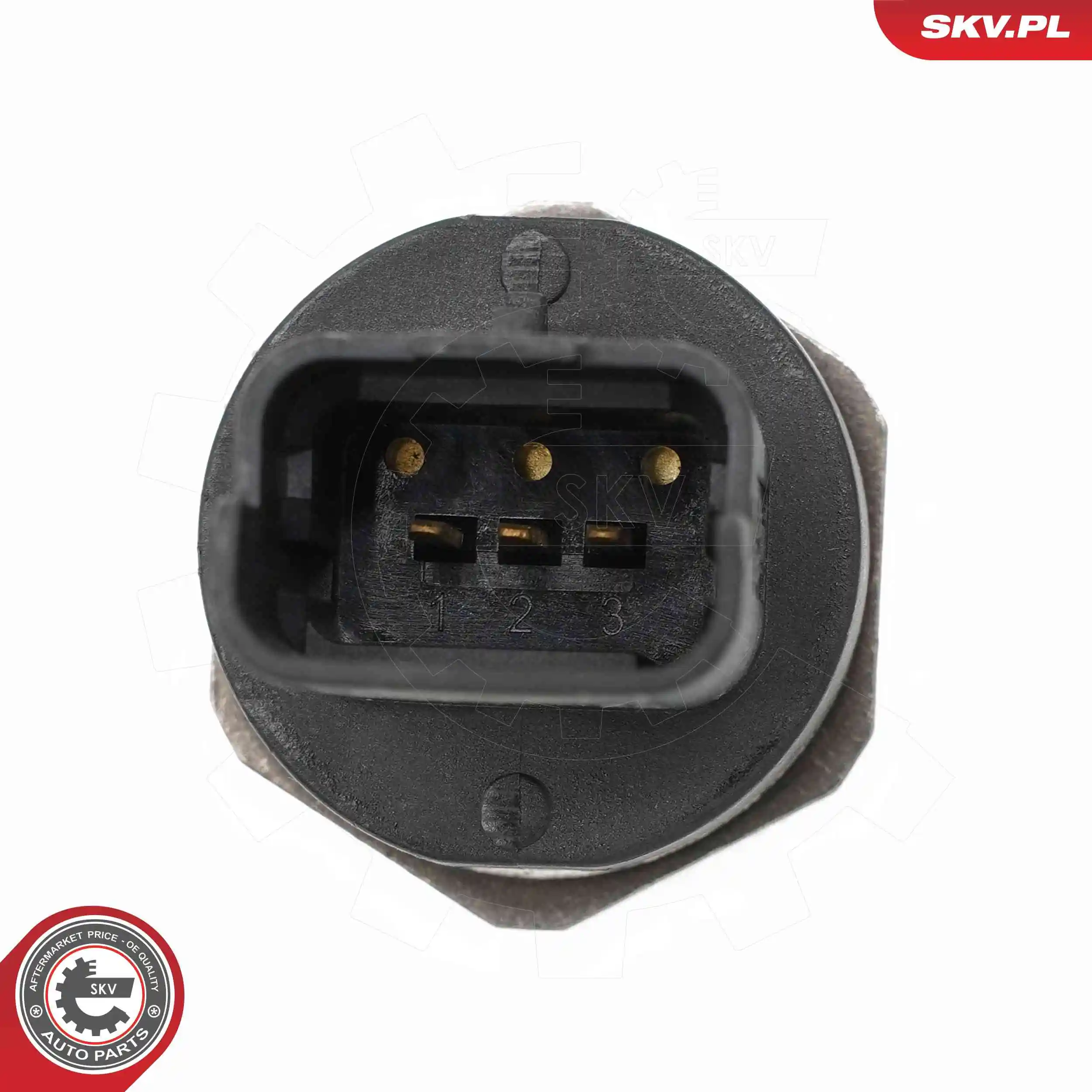 Sensor, fuel pressure 17SKV078